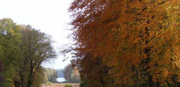 Der Park am Schloss Basthorst