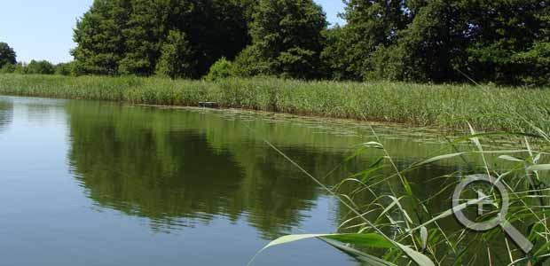 Der Glambecksee im Sommer.